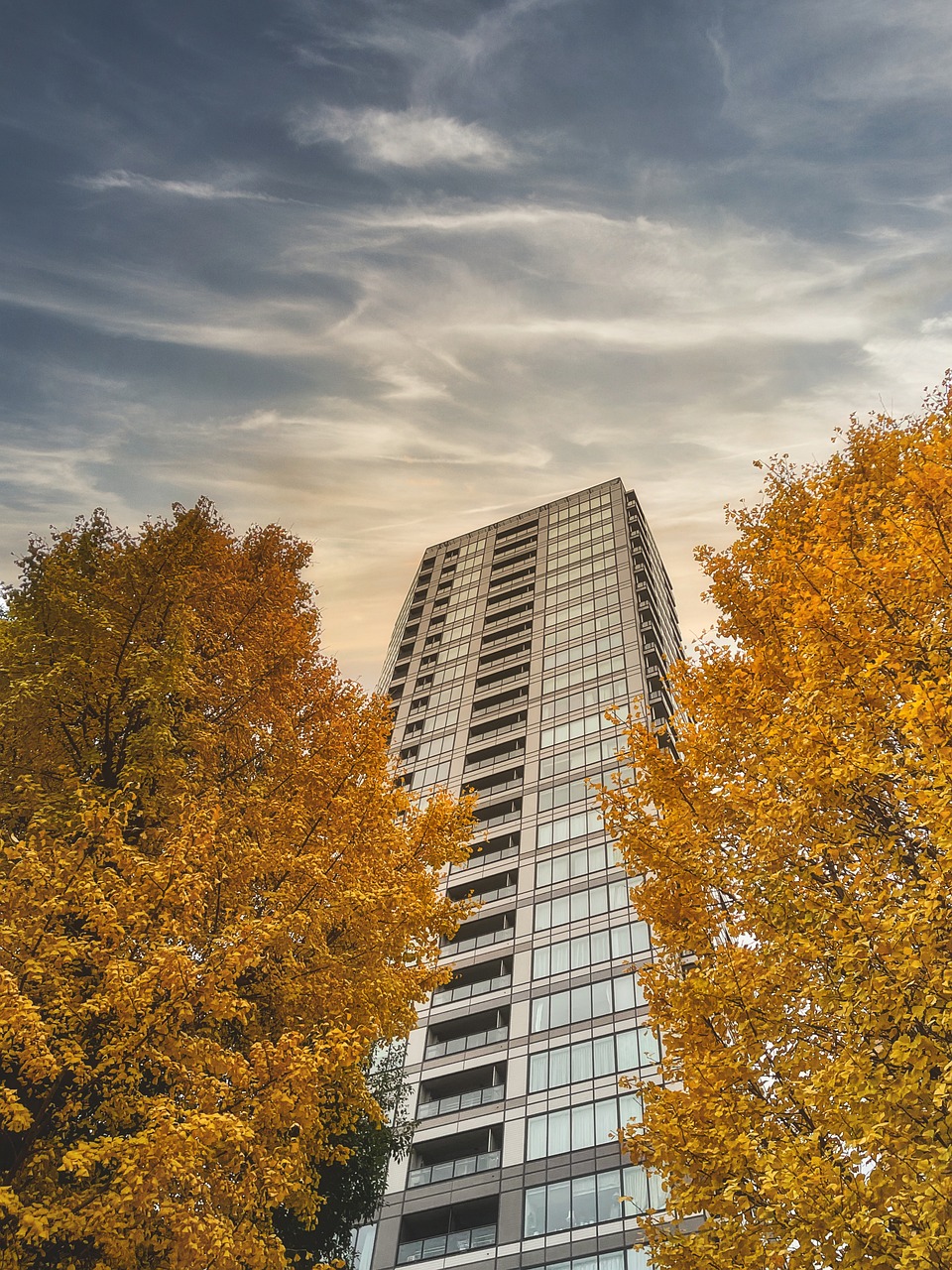 vue en contrebas d'un immeuble en automne